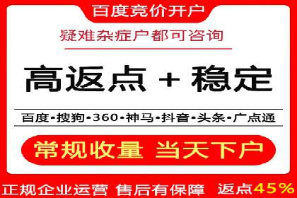 sem竞价托管代运营的实战技巧与案例